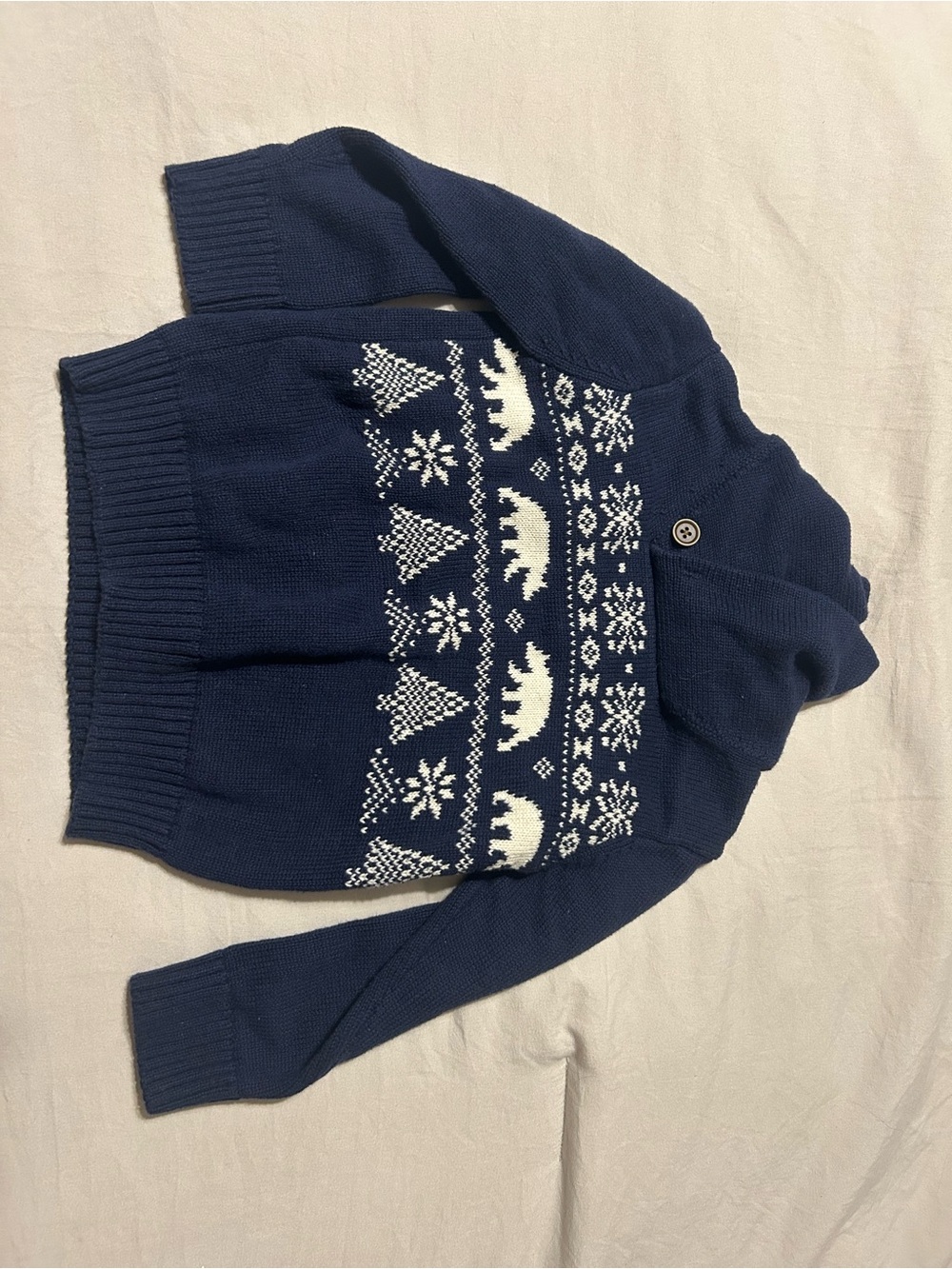 The Children's Place Navy Zip-Up Hooded Sweater with White Fair Isle Pattern